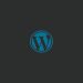 wordpress seo nedir